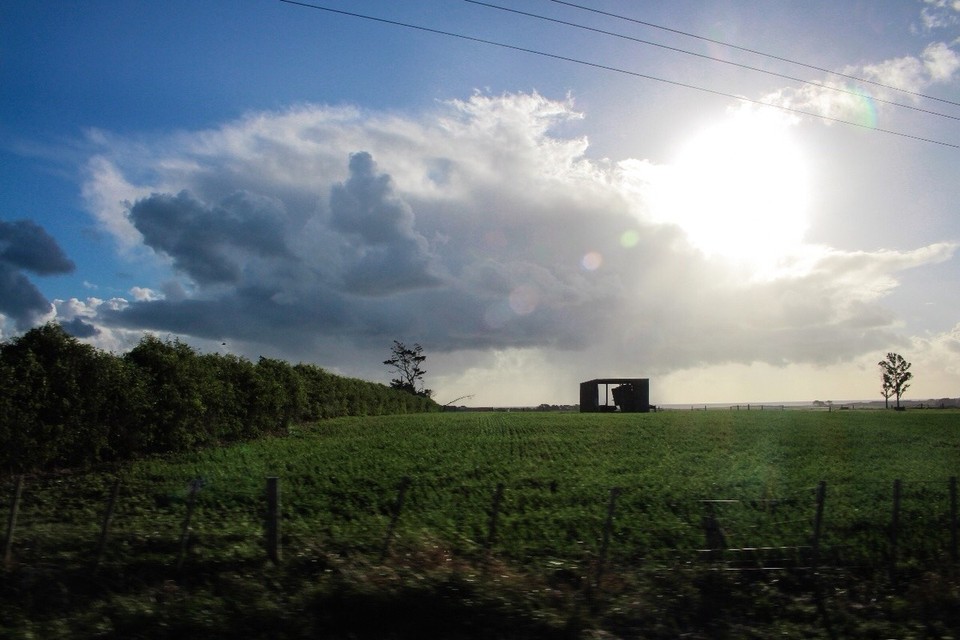 Neuseeland - Kapuni - On the Road 