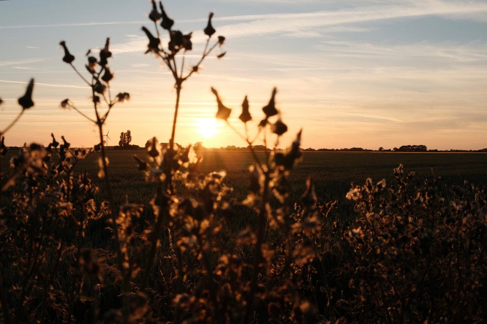 Deutschland - Fehmarn - 
