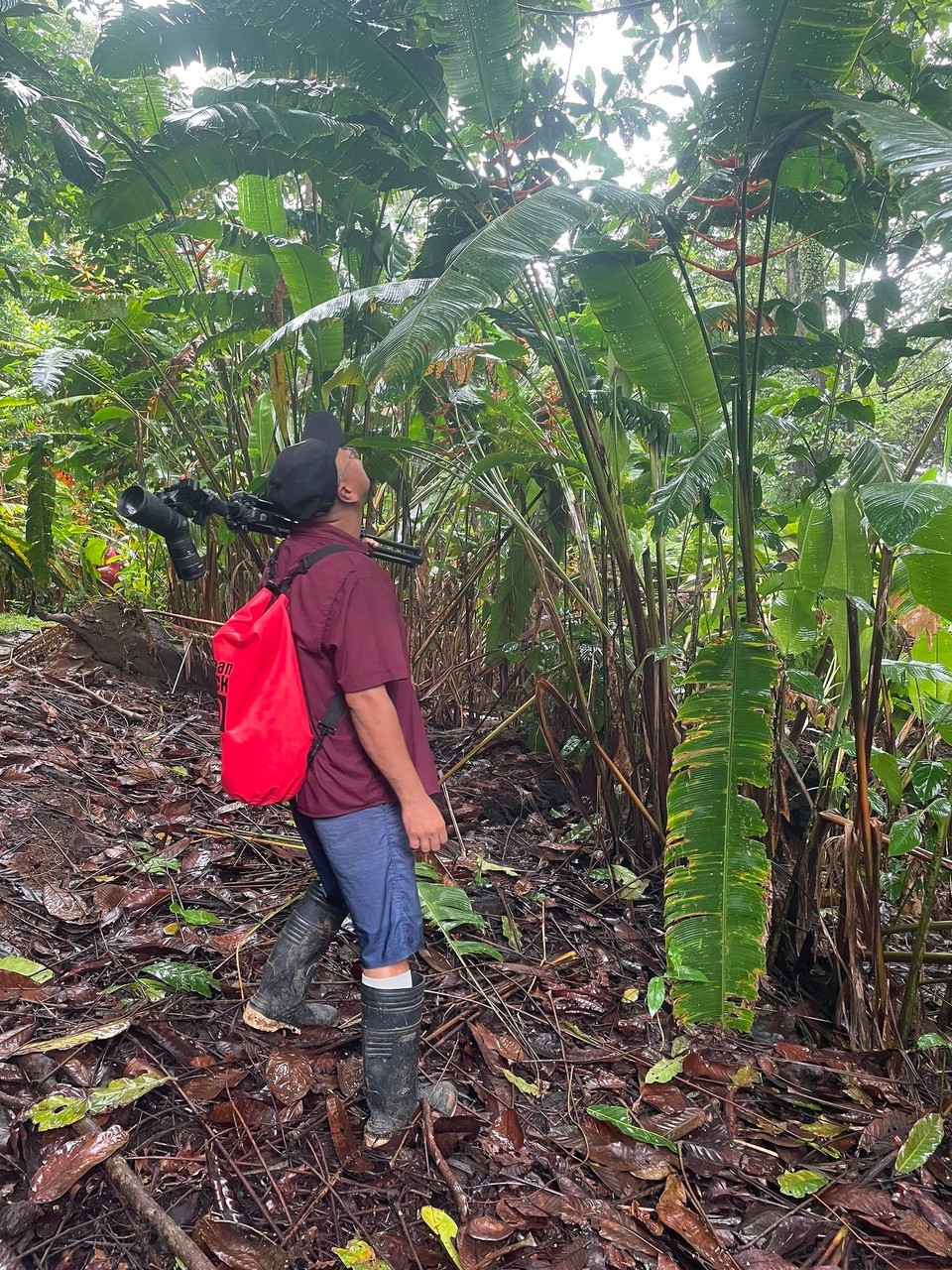 Costa Rica - Osa - Unser Guide 🧑🏽‍🌾…