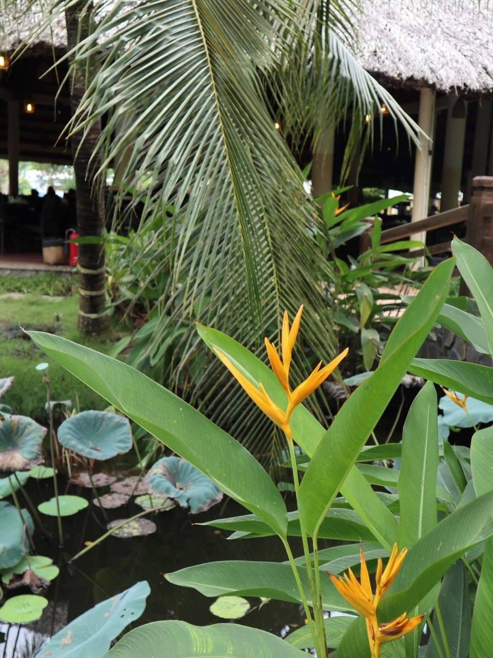 Vietnam - Ho-Chi-Minh Stadt - 