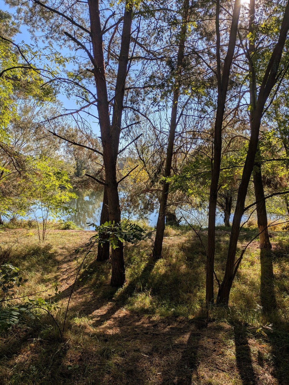 Deutschland - Brandenburg an der Havel - Und hin und wieder tauchte sogar Wasser zwischen den Bäumen auf.