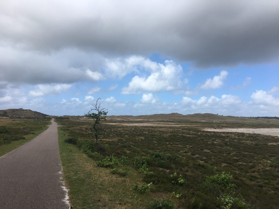 Niederlande - Schoorl - 