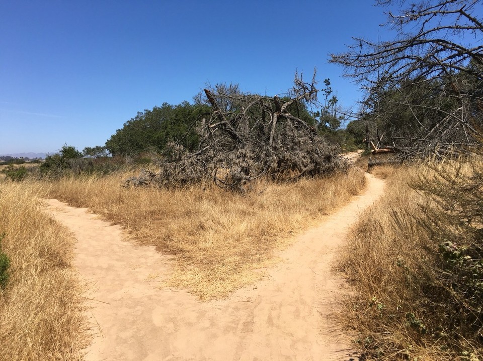  - Vereinigte Staaten, La Cañada Flintridge - Wandern in Kalifornien - man weiß nie so genau wo man hinlaufen soll, und auch nicht ob man auf dem richtig Weg ist, aber man kommt schon iwo, iwann an =) 