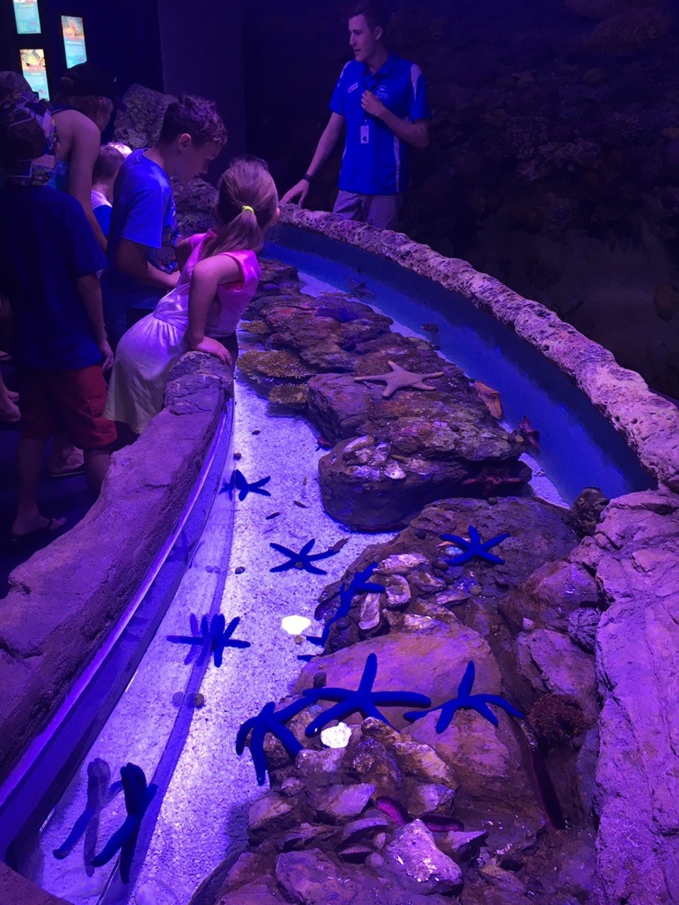  - Ausztrália, Cairns, Cairns Aquarium - 