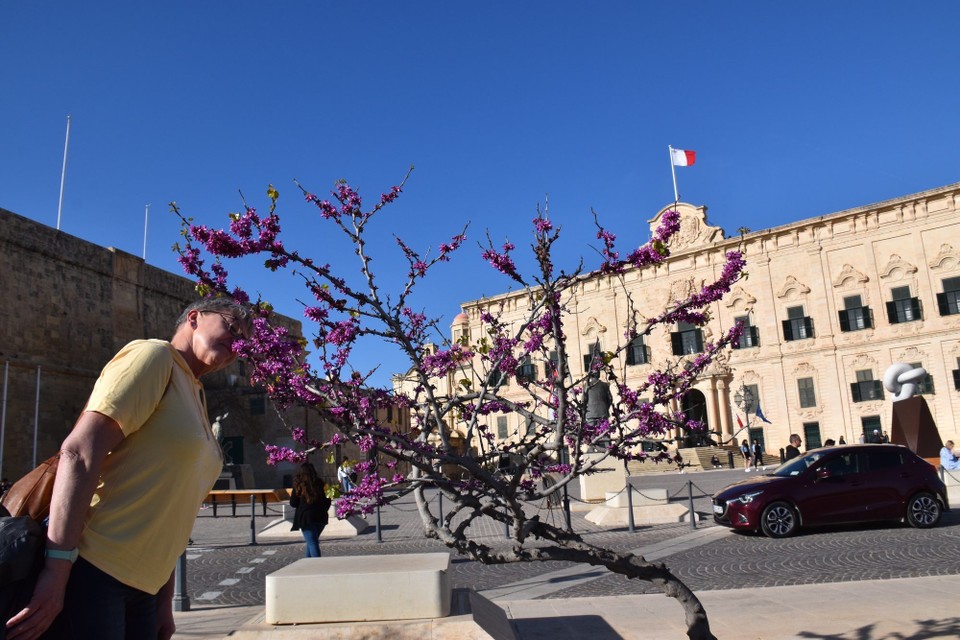 Malta - Valletta - 