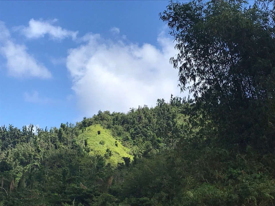 Dominica -  - 