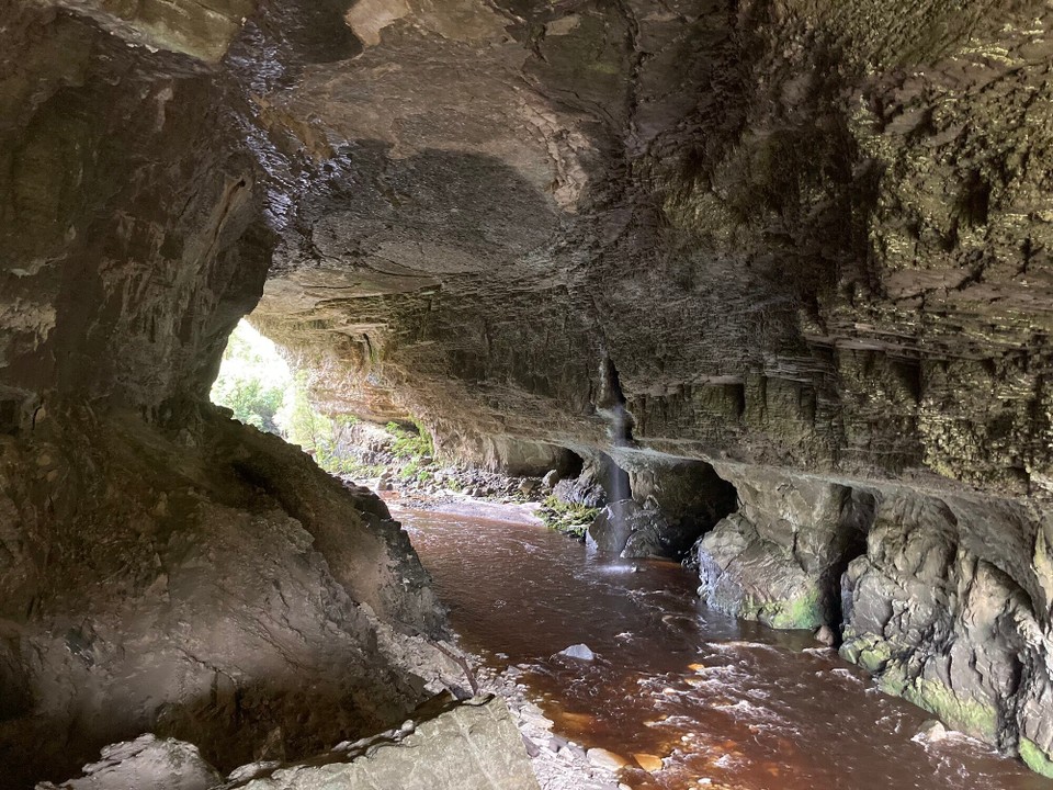 Neuseeland - Kahurangi National Park - 