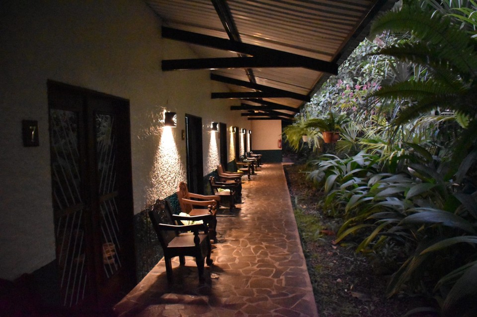 Costa Rica - Sarapiquí - Endlich in der Nähe von Puerto Viejo de Sarapiquí angekommen, checken wir in unsere Lodge ein. Diese liegt mitten im Urwald, morgen früh wollen wir wieder auf Safari in den Regenwald.