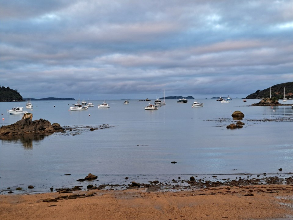 Neuseeland - Stewart Island - 