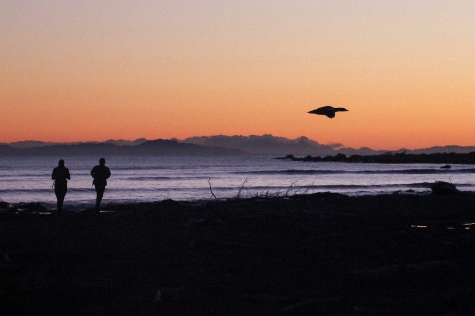 Neuseeland - Seddon - 