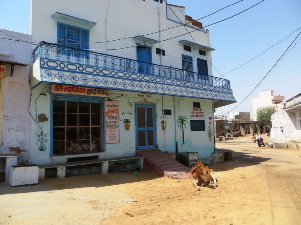 India - Pushkar - 