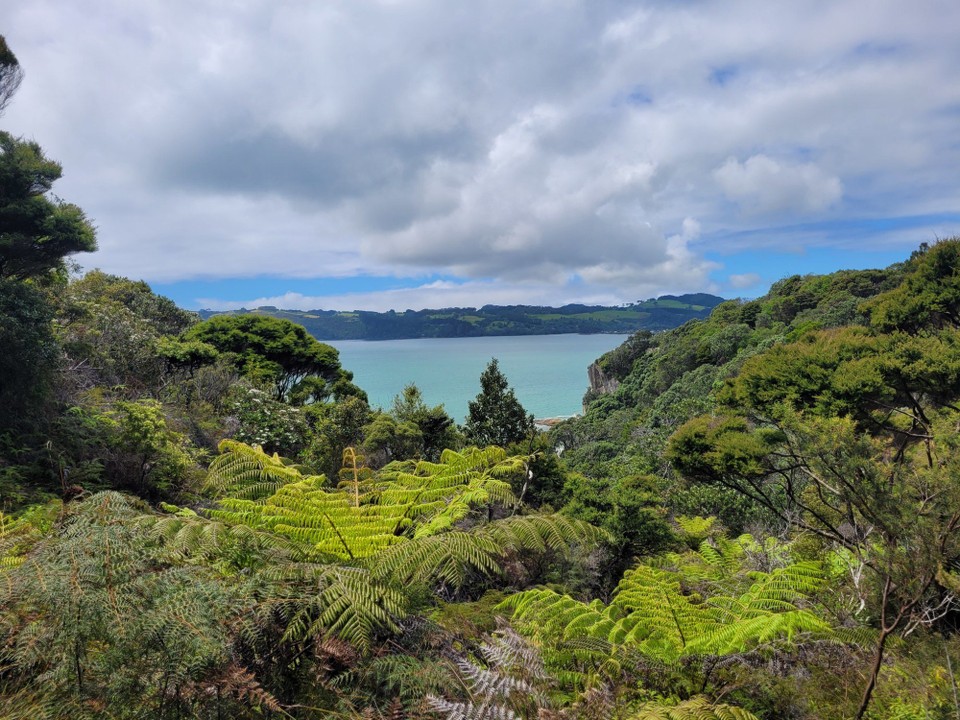 Neuseeland - Cooks Beach - 