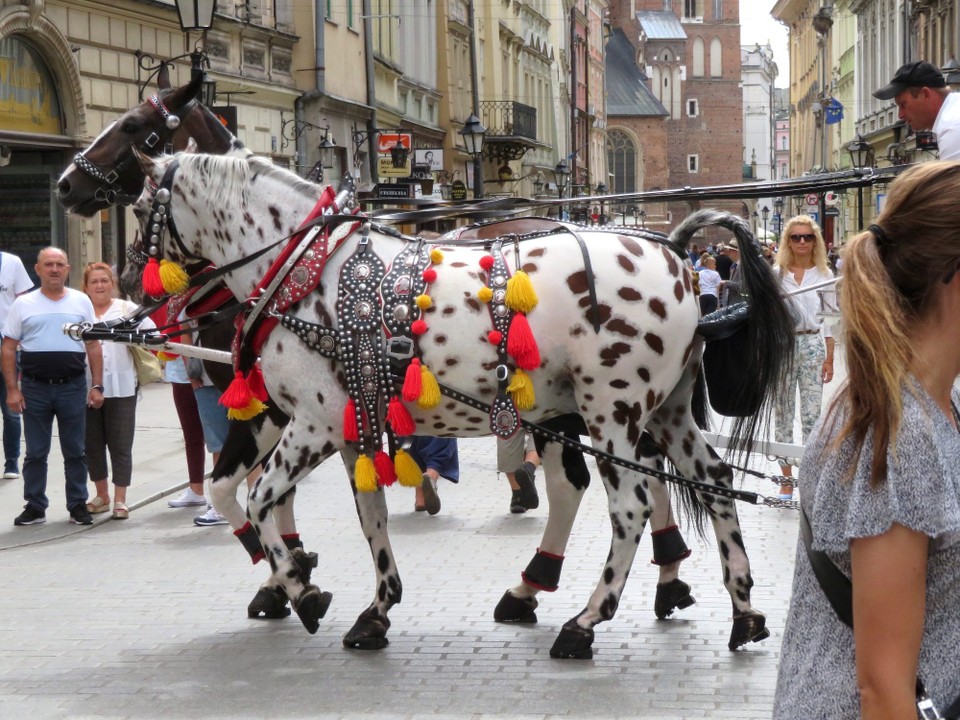 Polen - Krakau - 