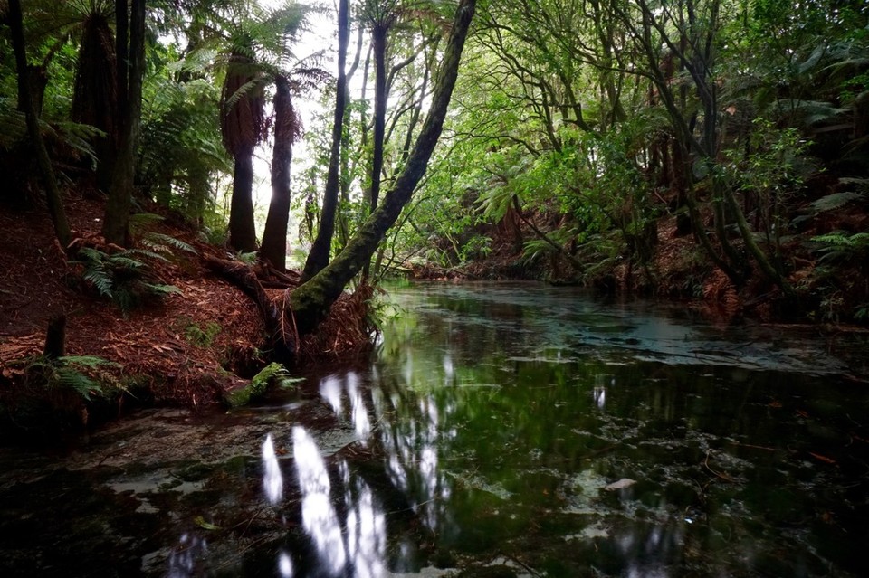 Neuseeland - Hamurana - 