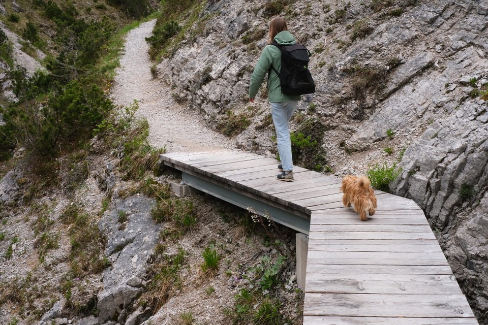 Österreich - Scharnitz - 