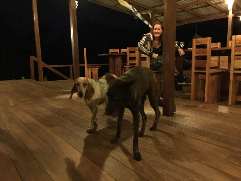 Costa Rica - Pérez Zeledón - 