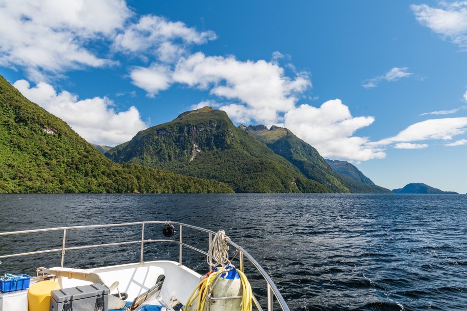 Neuseeland -  - 