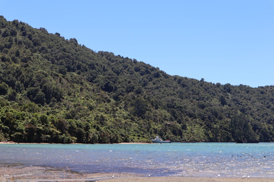 Neuseeland - Picton - 