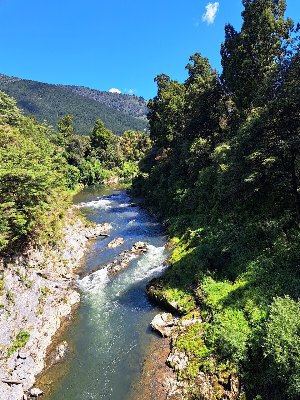 Neuseeland - Pelorus Bridge - 