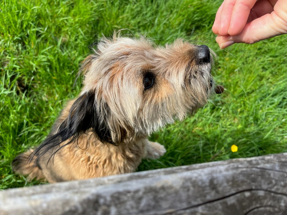 Deutschland - Mörsdorf - Impressionen