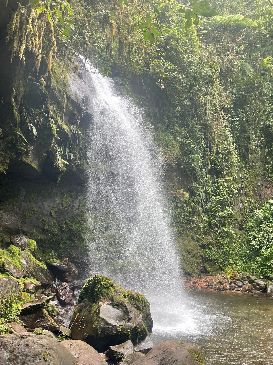 Panama -  - Nr. 3 ✔️