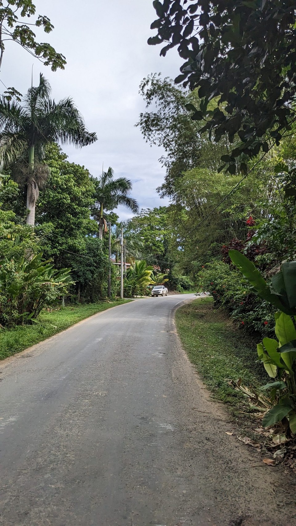 Panama - Playa Bluff - 