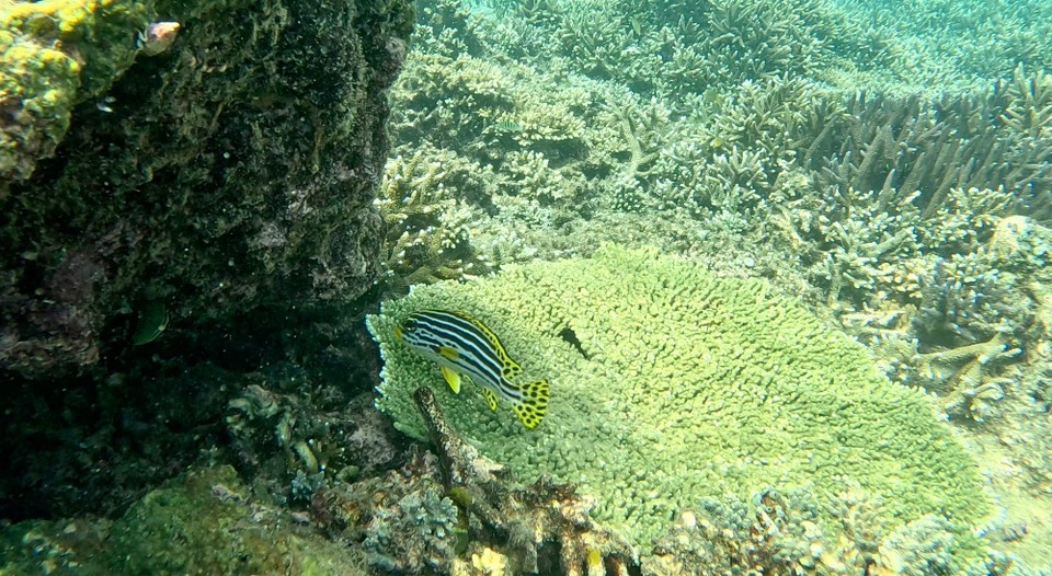 Indonesien - Kabupaten Lombok Barat - 