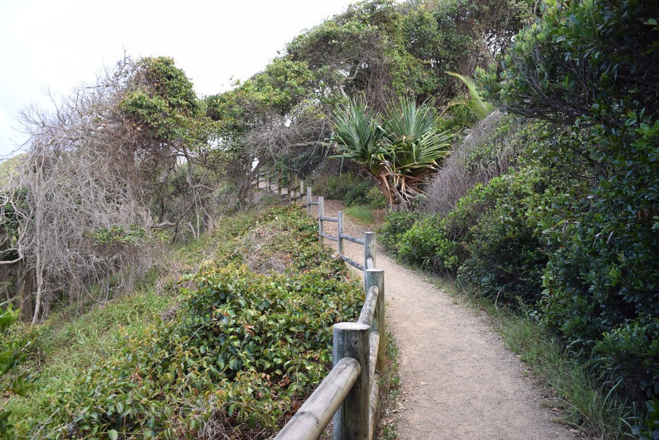 Australien - Port Macquarie - 