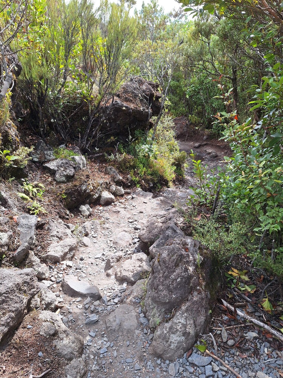 Neuseeland - Turangi - und weiter ....
