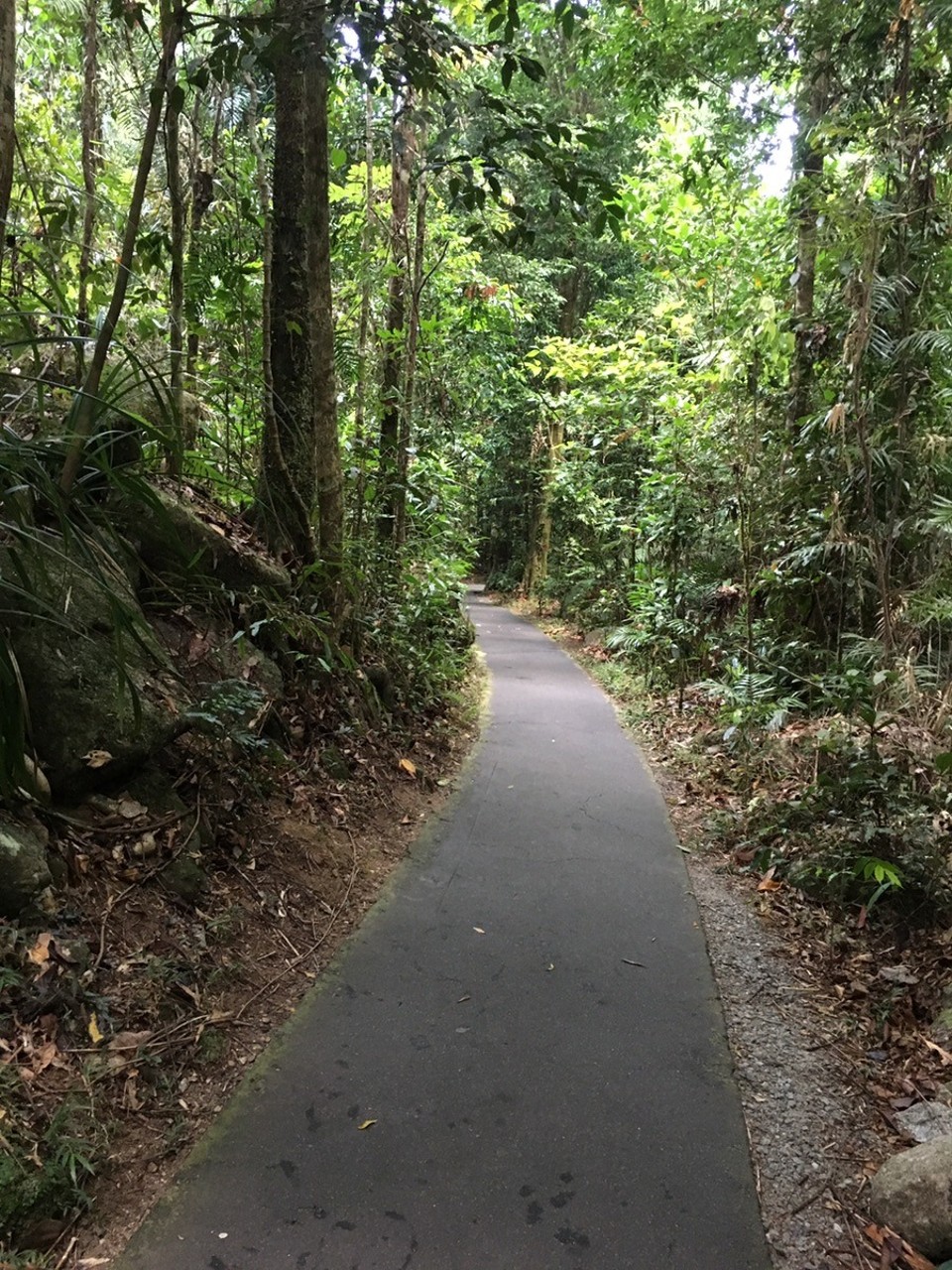  - Ausztrália, Atherton Tablelands - 