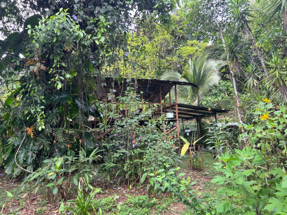 Costa Rica - Nationalpark Corcovado - 