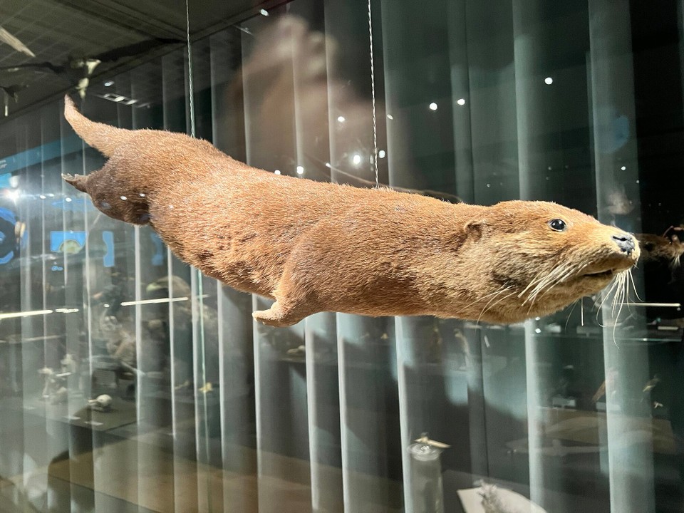 Dänemark - København K - 