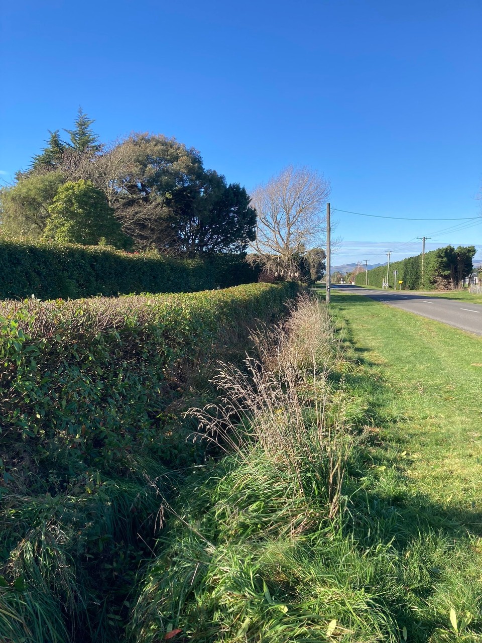 Neuseeland - Christchurch - 