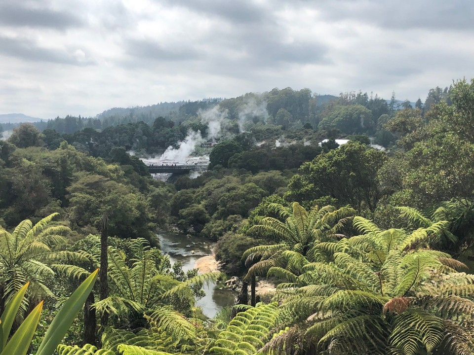 Neuseeland - Whakarewarewa - Whakarewarewa Thermalfeld. Der Fluss in Vordergrund hat übrigens nur 11 Grad. 