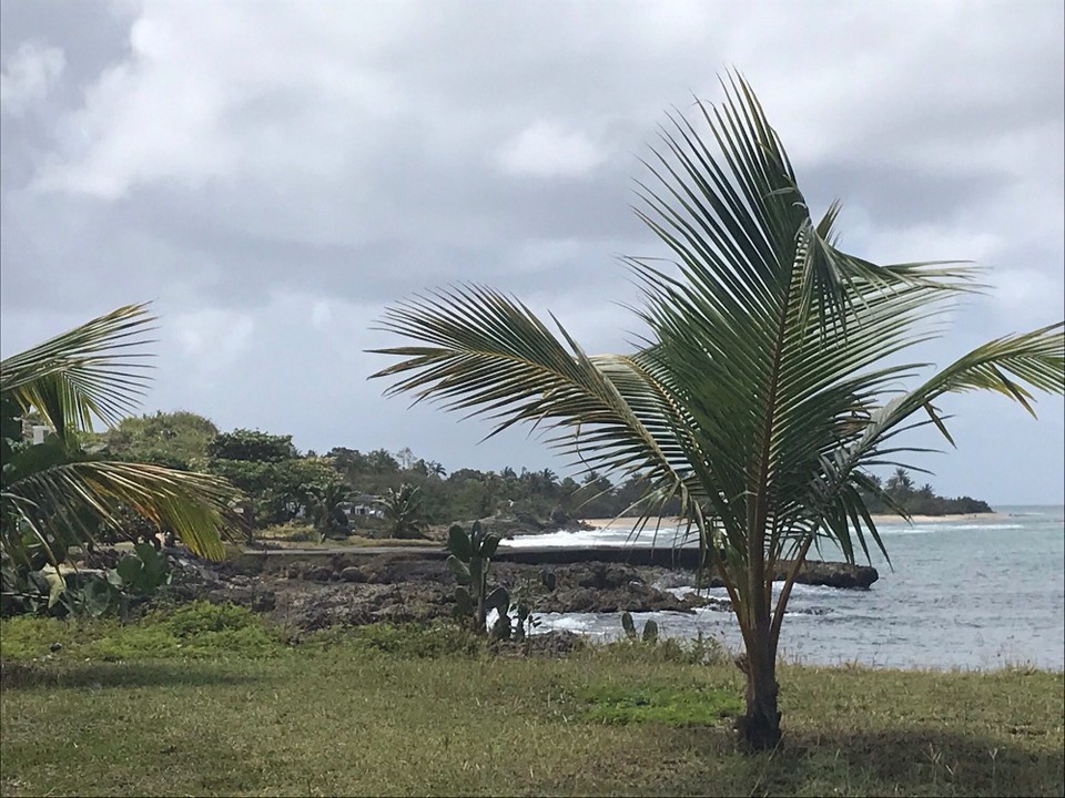 Guadeloupe -  - 