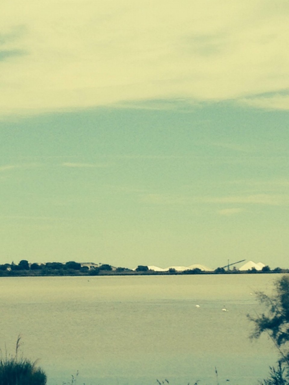 Frankreich - Aigues-Mortes - 