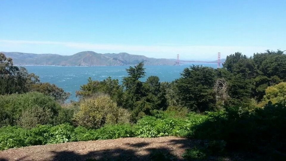 United States - San Francisco - 