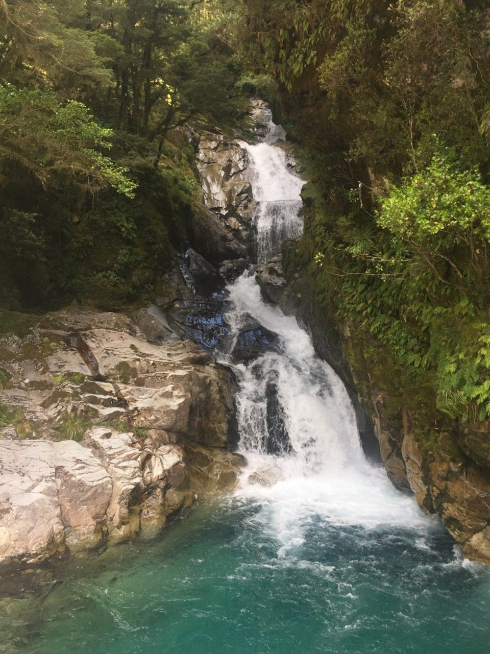 Neuseeland - Falls Creek - 