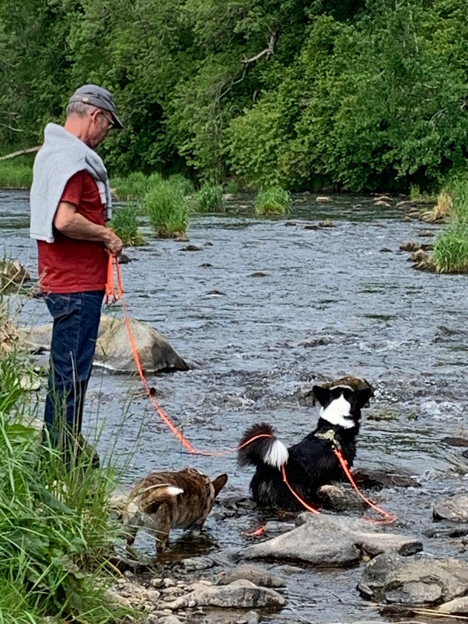 Vereinigtes Königreich - Huntly - Am Wasser mues dr Nani immer ad Leine: we ds Ufer nid höch gnue isch, gumpet är eifach dri, dä Spinner!