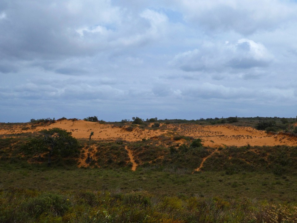 Südafrika - iSimangaliso-Wetland-Park - Sabddünen