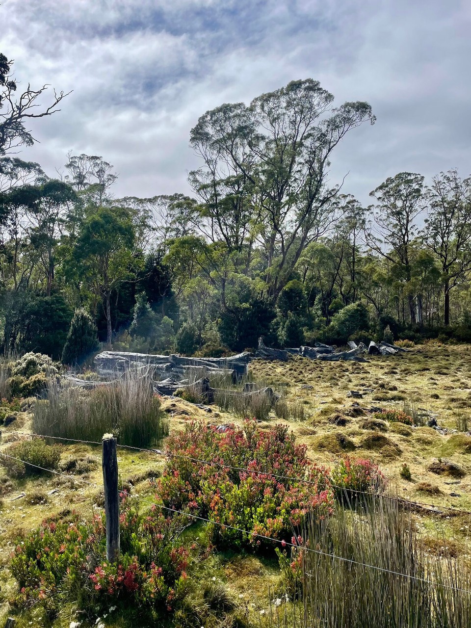 Australien - Launceston - 
