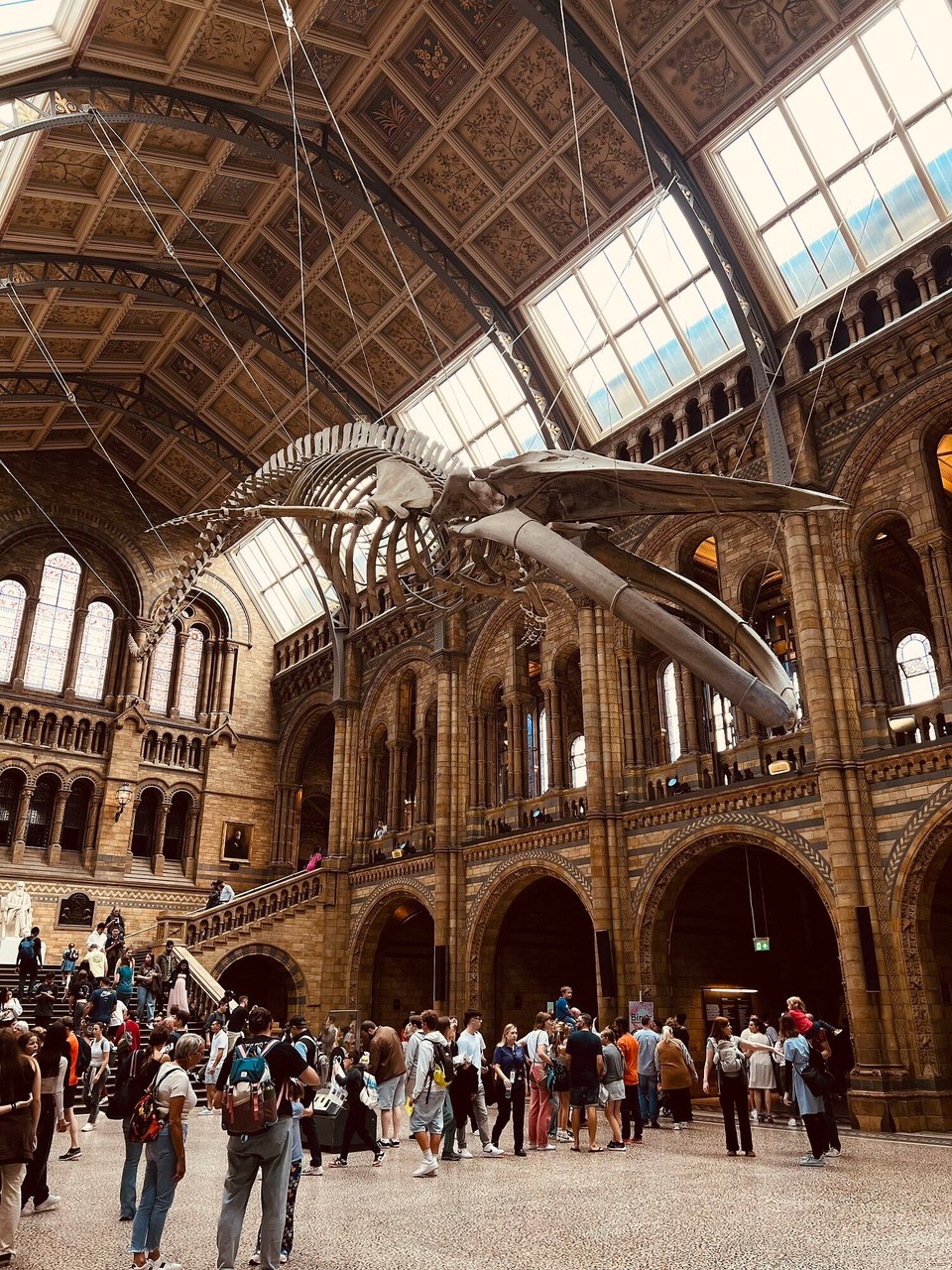 Vereinigtes Königreich - London - 