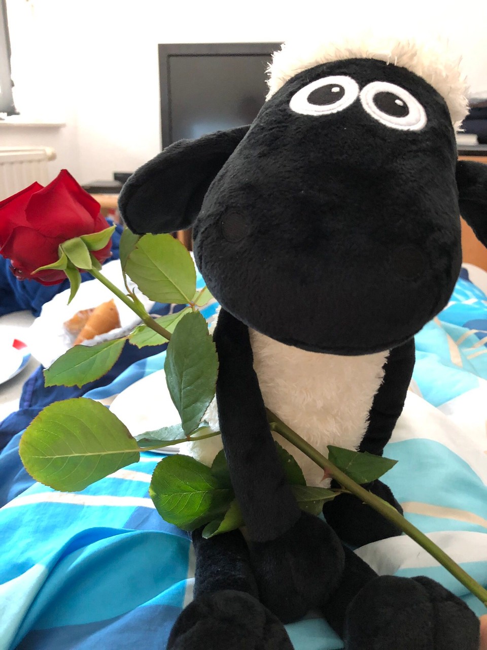  -  - 24.08.2019
Abschiedsgeschenk von meinem Schatzi, damit ich in Frankreich ein Schäfchen zum kraulen habe 🥰