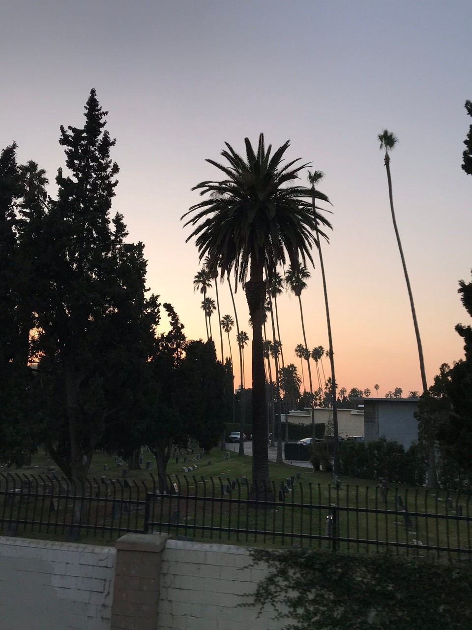 Vereinigte Staaten - Los Angeles - Der Hollywood Forever Friedhof beherbergt unendlich viele Gräber von Stars. Hier kann man 7 Tage die Woche vorbei schauen, es werden Touren angeboten und Konzerte gespielt. Irgenwie unmoralisch, nicht? 