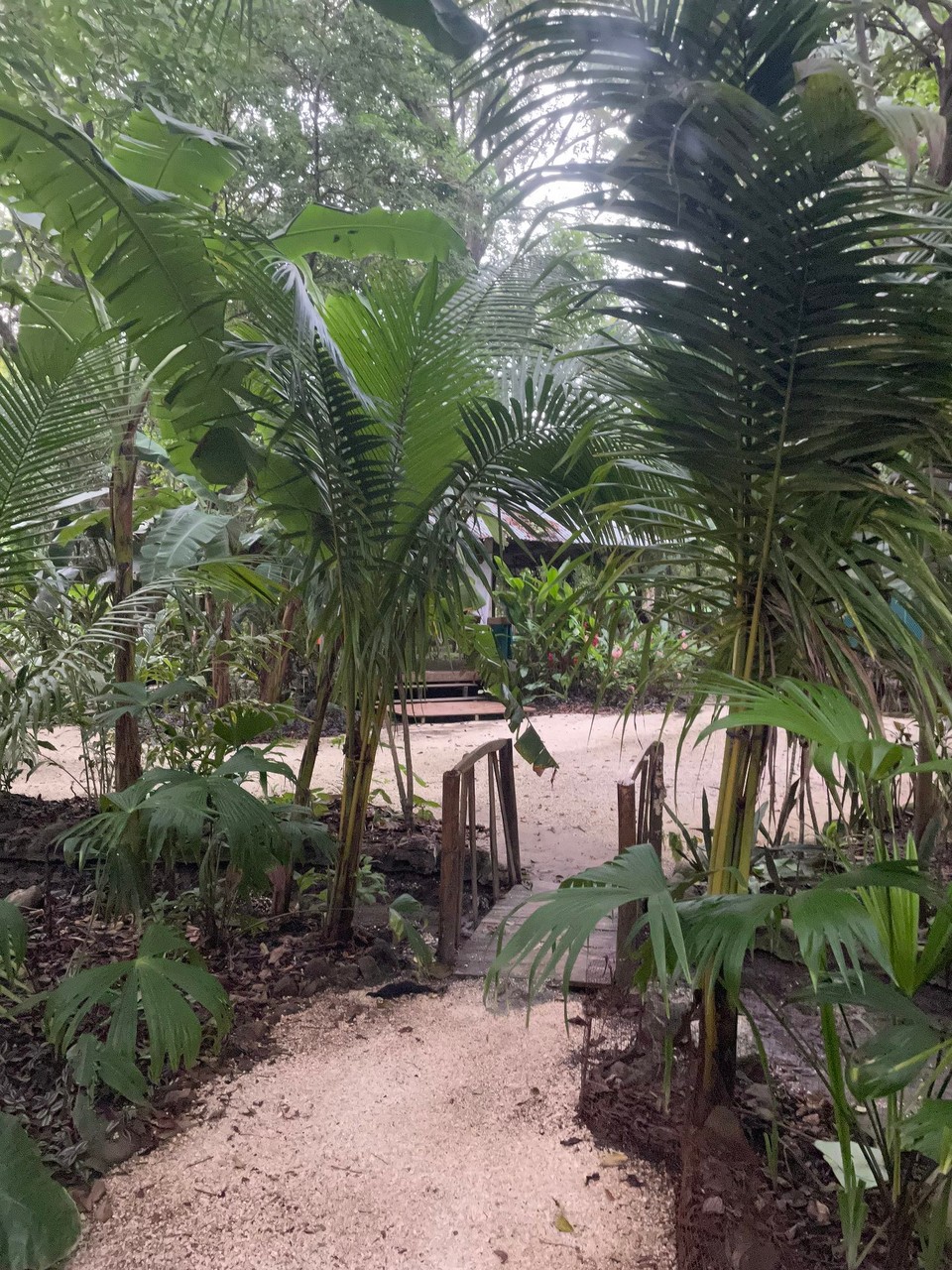 Costa Rica -  - Nach knapp 8 Stunden bin ich dann in dem kleinen Küstenort Santa Teresa angekommen 