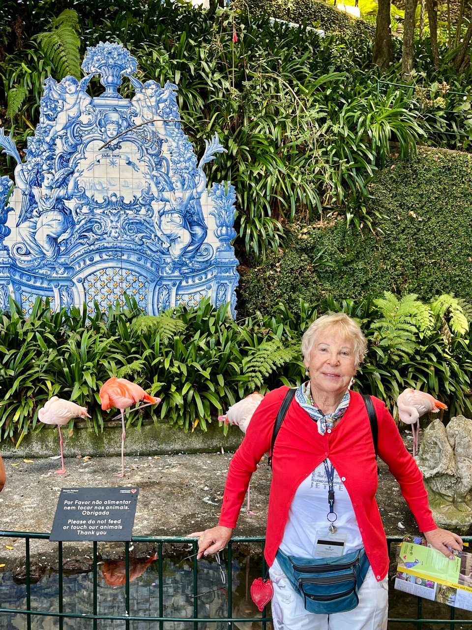 Portugal - Funchal - 