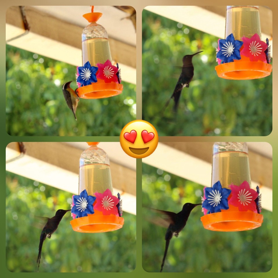 Brasilien - Governador Valadares - Vor unserer Wohnung in Praha do Flamengo