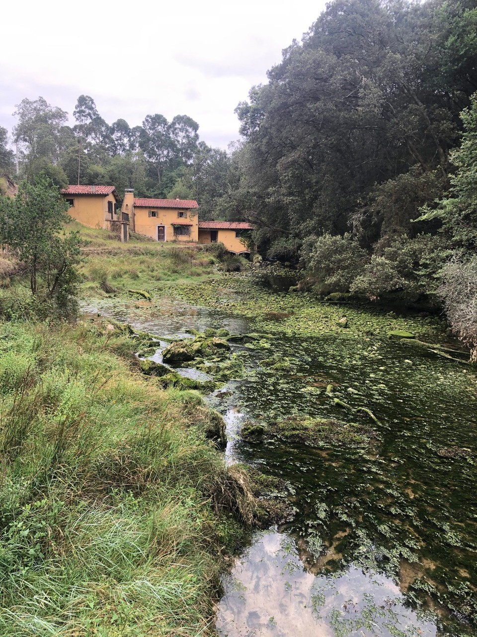 Spanien - Ribadesella - 