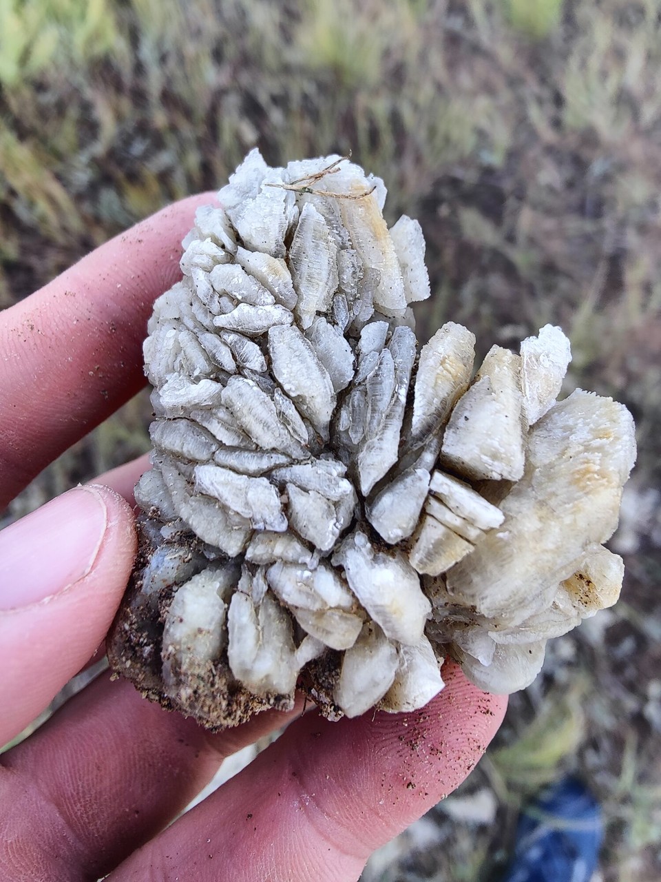 Kasachstan - Абай - Auch solche Steine gab es Mal hier und dort