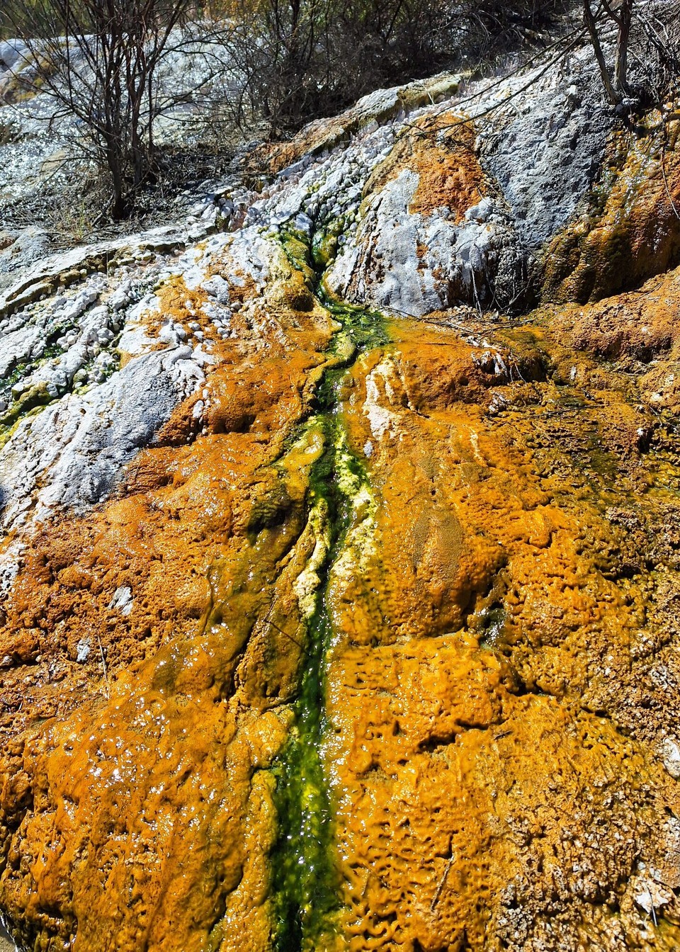 Neuseeland - Turangi - Orakei Korako